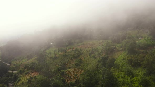 Mountains with Rainforest and Agricultural Land in a Mountainous Province in Sri Lanka