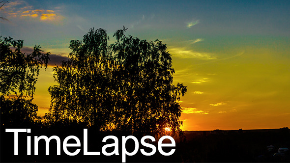 Sunset In Woods With Vibrant Colours alt