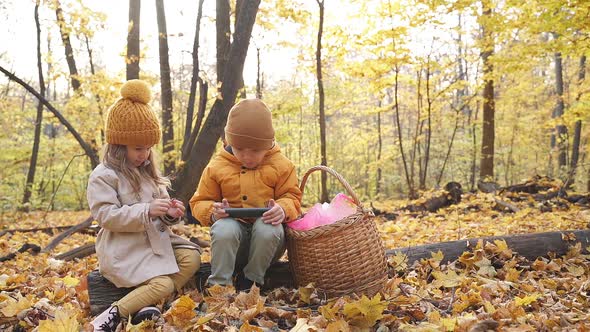 Little Kids Use Smartphone in Forest