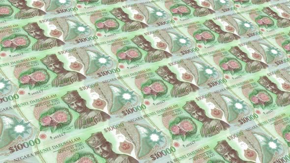 Brunei Money / 10000  Brunei Dollar 4K