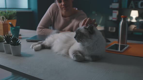 Woman cuddling her beautiful cat on the desk