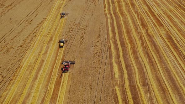 Combine harvester on field. Aerial view of combine harvesters on wheat field