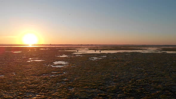 Sea Estuary. Flight Over Water. Sunset Over the Estuary, Birds Fly Over the Water Surface