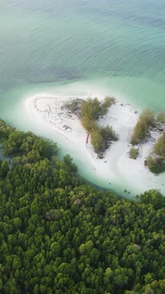 Zanzibar Tanzania  Ocean Shore Covered with Green Thickets Vertical Video