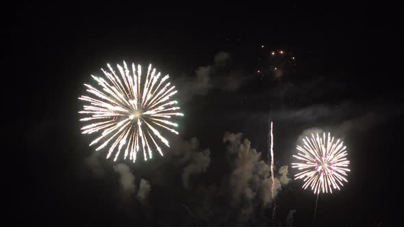 Colorful Firework display at night on sky background