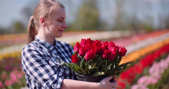 Woman Holding Tulips Bouquet in Hands While Walking on Tulips Field