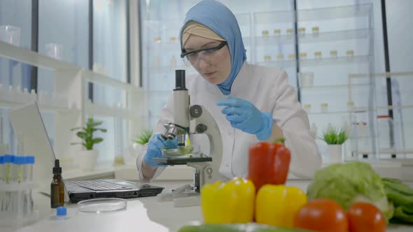 a Female Scientist in a Muslim Scarf Studies Vegetables in a Microscope