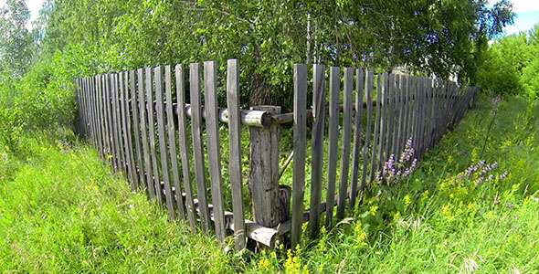Wooden Fence And Trees