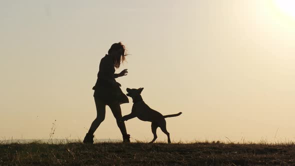 Silhouettes of Adorable Girl Playing Running with Her Cute Dog During Sunset