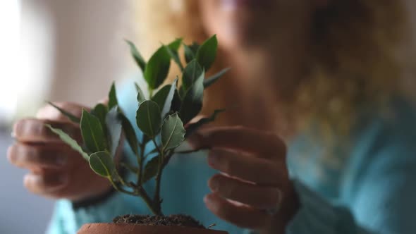 Close up and portrait of woman taking care of small plant inside of her home - plant growing up