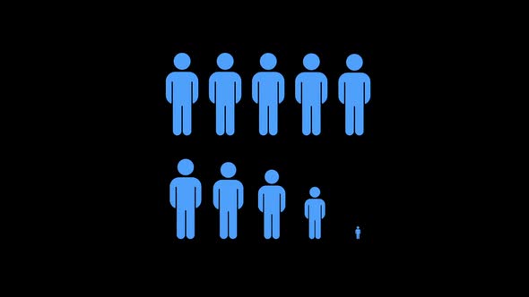 Infographic People Man Corporate Gender Distribution Statistics