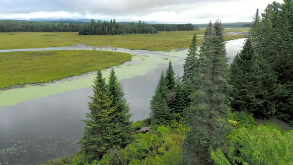 Aerial shot revealing the dark waters of Shirley Bog winding through the Maine countryside with tall