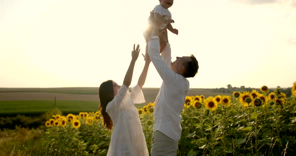 Young Family with Little Son Having Good Time in Sunflower Field at Sunset