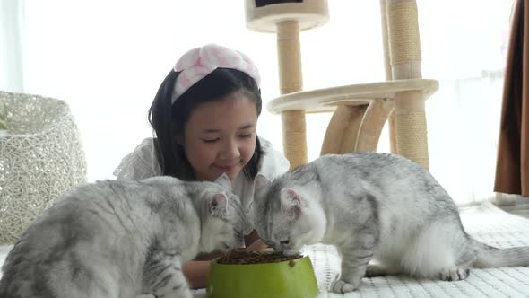 Cute Asian Girl Feeding Two American Shorthair Cats At Home 2