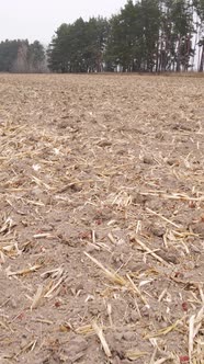 Vertical Video Empty Plowed Field in Autumn Aerial View