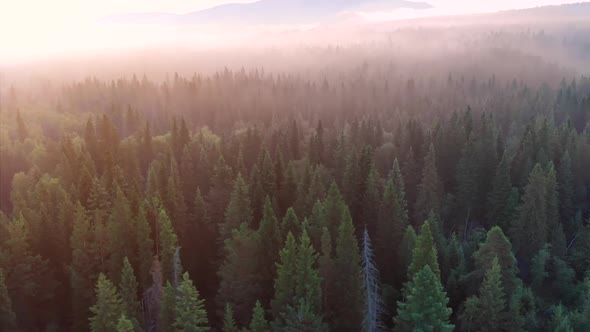 Forests and Mountains of the Southern Urals Near the Village of Tyulyuk in Russia