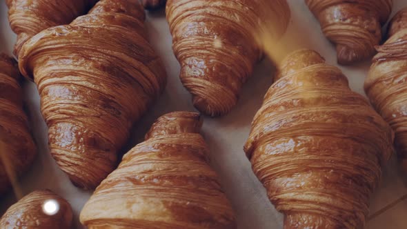 French Croissants