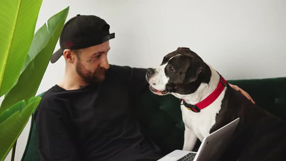 Caucasian Laidback Bearded Middleaged Man Working From Home Sits on His Sofa with Big Cheerful Dog