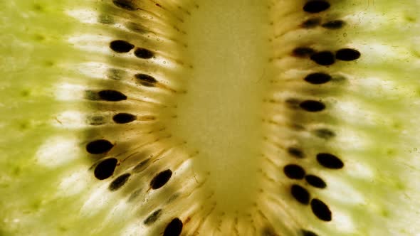 Juicy Kiwi Slice Macro