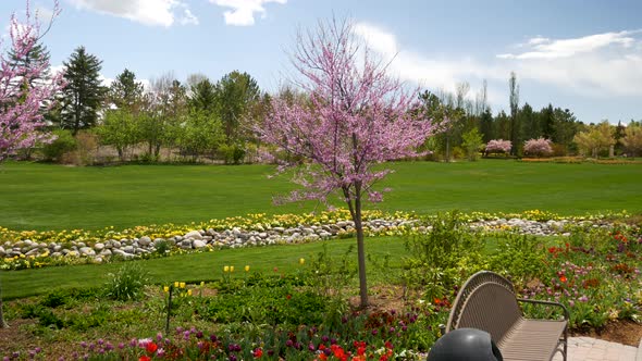 A beautiful park on a spring day with blossoms and flowers blooming along a small creek bed and no p