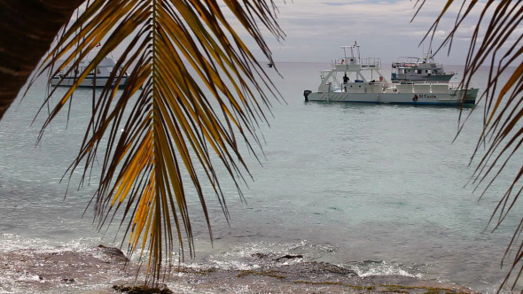 Exotic Beach With Palm and Yachts