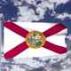 Florida Flag Waving - VideoHive Item for Sale
