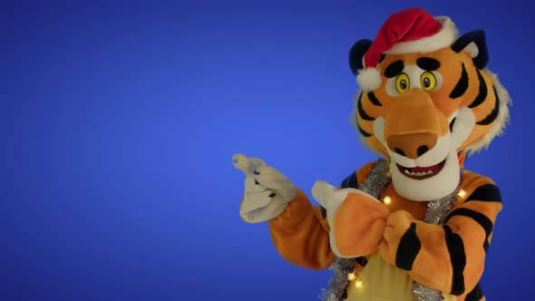 Tiger in Red Hat and Tinsel Points with His Paws at Empty Place for Text on Blue Gradient Background