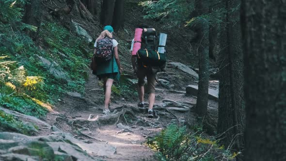 Couple of Tourists with Backpacks Climbing Up on Stone Trail in Mountain Forest