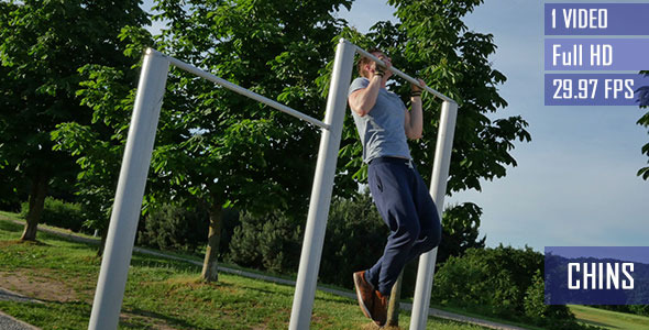 Pull Up Exercise In The Park
