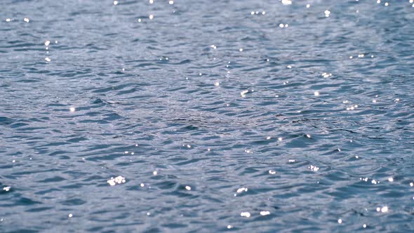 Sun Reflections at the Water Surface