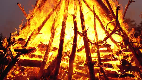 Big Campfire of the Logs Burns at Night in the Forest. Slow Motion