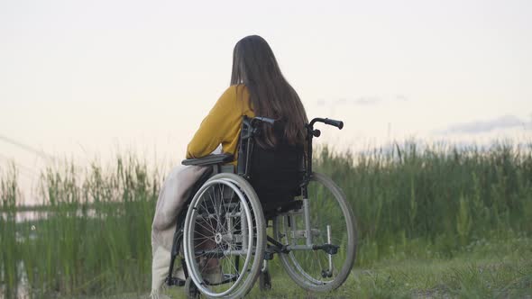Back View of Lonely Woman on Wheelchair Sitting on River Bank. Wide Shot of Brunette Caucasian