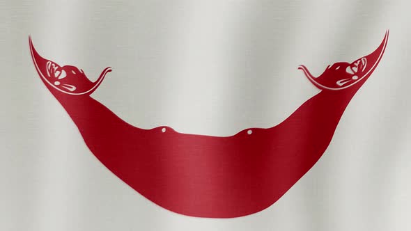 The National Flag of Easter Island alt