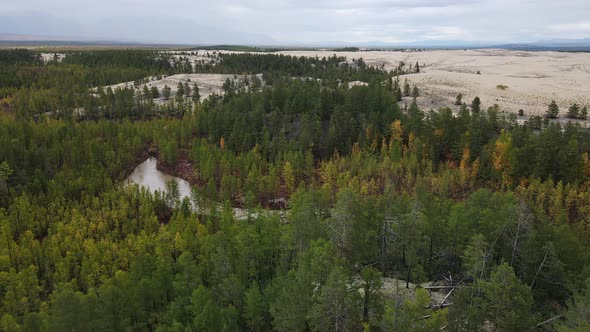 Chara Sands is a Tract Which is a Sandy Massif in the TransBaikal Territory