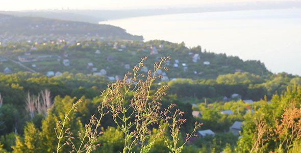 Village Near Sea 2 alt