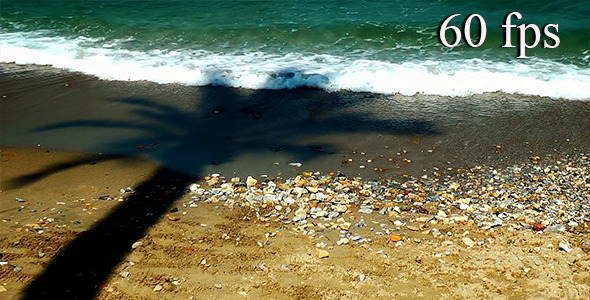 Shadow of Palm and Waves at the Beach alt