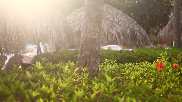 Luxury Resort Garden Next To Swimming Pool alt