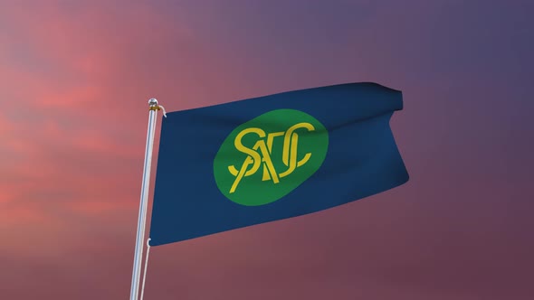 Flag of SADS Waving 4k