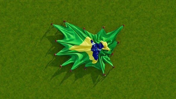 Brazil Flag