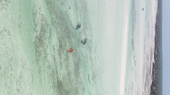 Vertical Video of Low Tide in the Ocean Near the Coast of Zanzibar Tanzania Aerial View