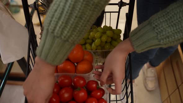 Shopping Cart Filled with Groceries in Farm Store