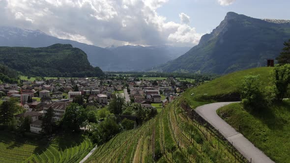Flight over vines in Balzers village in Principality of Liechtenstein, Europe