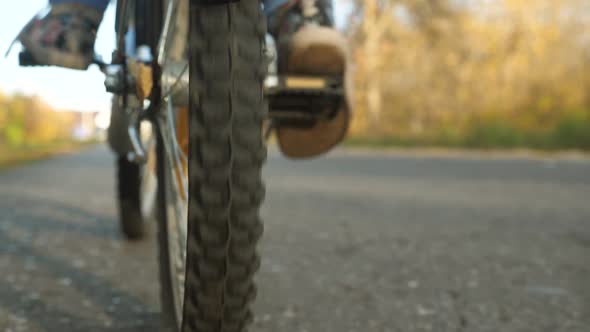 Child Travels with a Bicycle in the Park. Young Girl Walks. A Young Girl Walks Along the Road