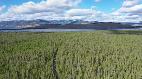 Aerial view over pine tree forest near West Yellowstone Montana