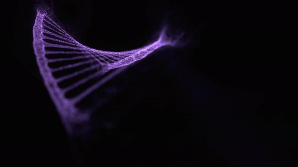 DNA Molecule Helix Structure