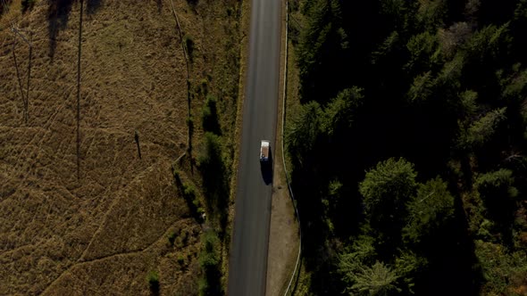 Highway Forest in the Ukrainian Carpathian Mountains