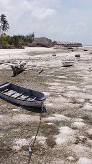 Tanzania  Vertical Video of Low Tide in the Ocean Near the Coast of Zanzibar Slow Motion