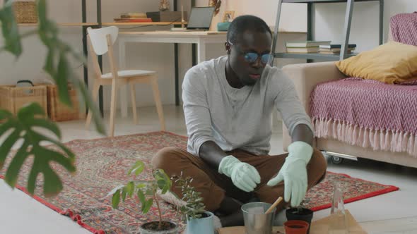 Afro-American Man Repotting Houseplant at Home