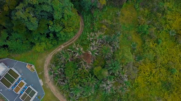 Ariel view of a house in the forest.