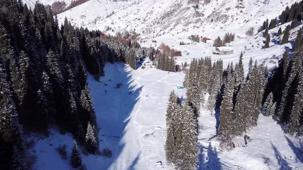 Mountain Forest Is Completely Covered with Snow